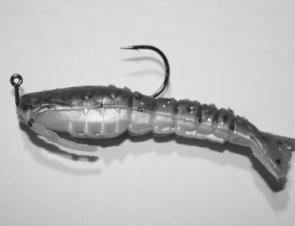 A 2” Gulp Shrimp on a Tackle Tactics Hidden Weight hook, a deadly lure when fishing light.